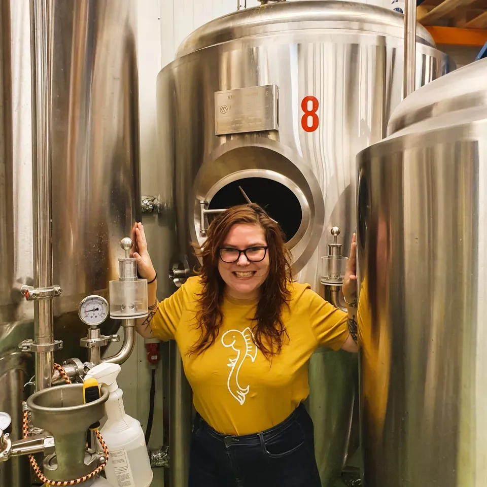 Brouwerij De Kromme Haring T-shirt oker katoen