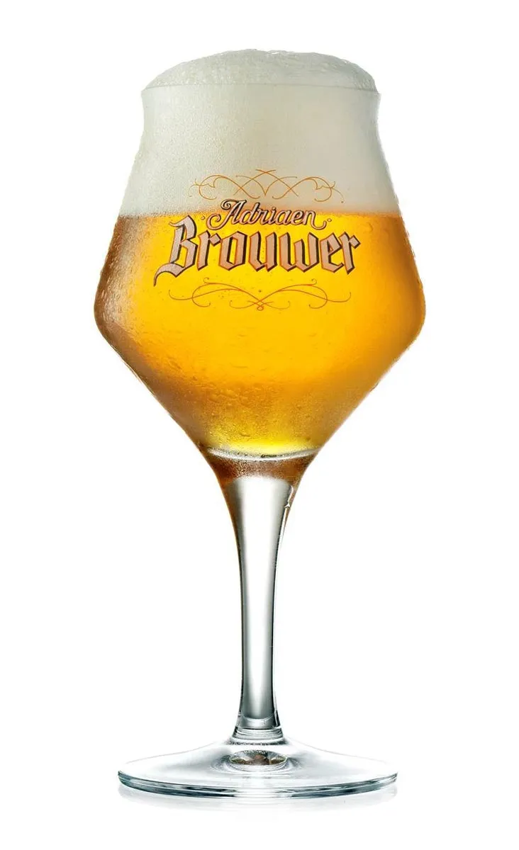 Brouwerij Roman Adriaen Brouwer bierglas 33cl 6 stuks