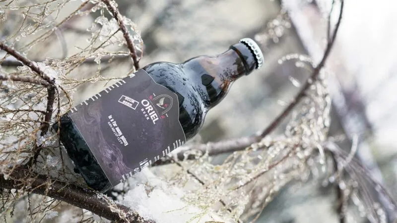 Oriel In A Far Away Galaxy porter 12-pack zuur