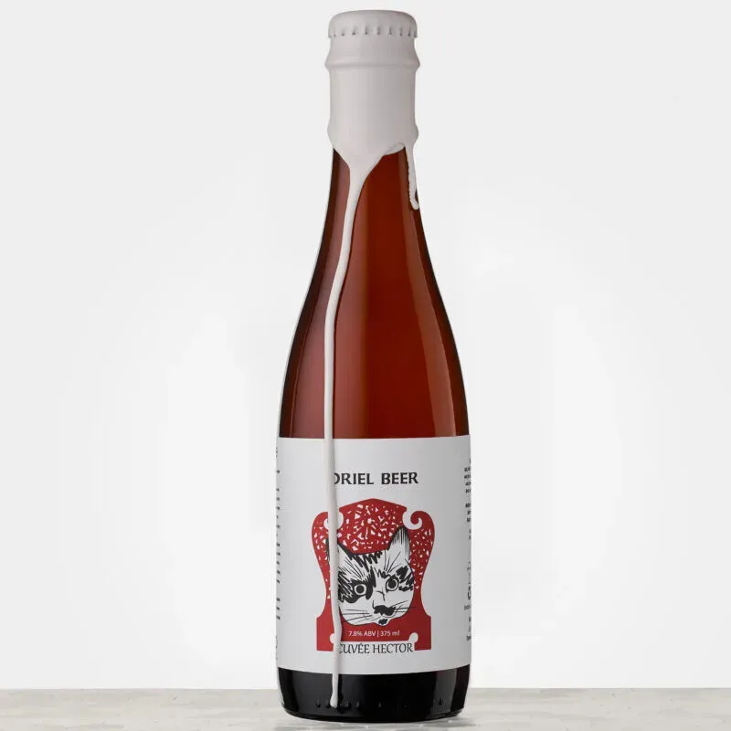 Oriel Beer Cuvée Hector wild ale 375 ml eiken