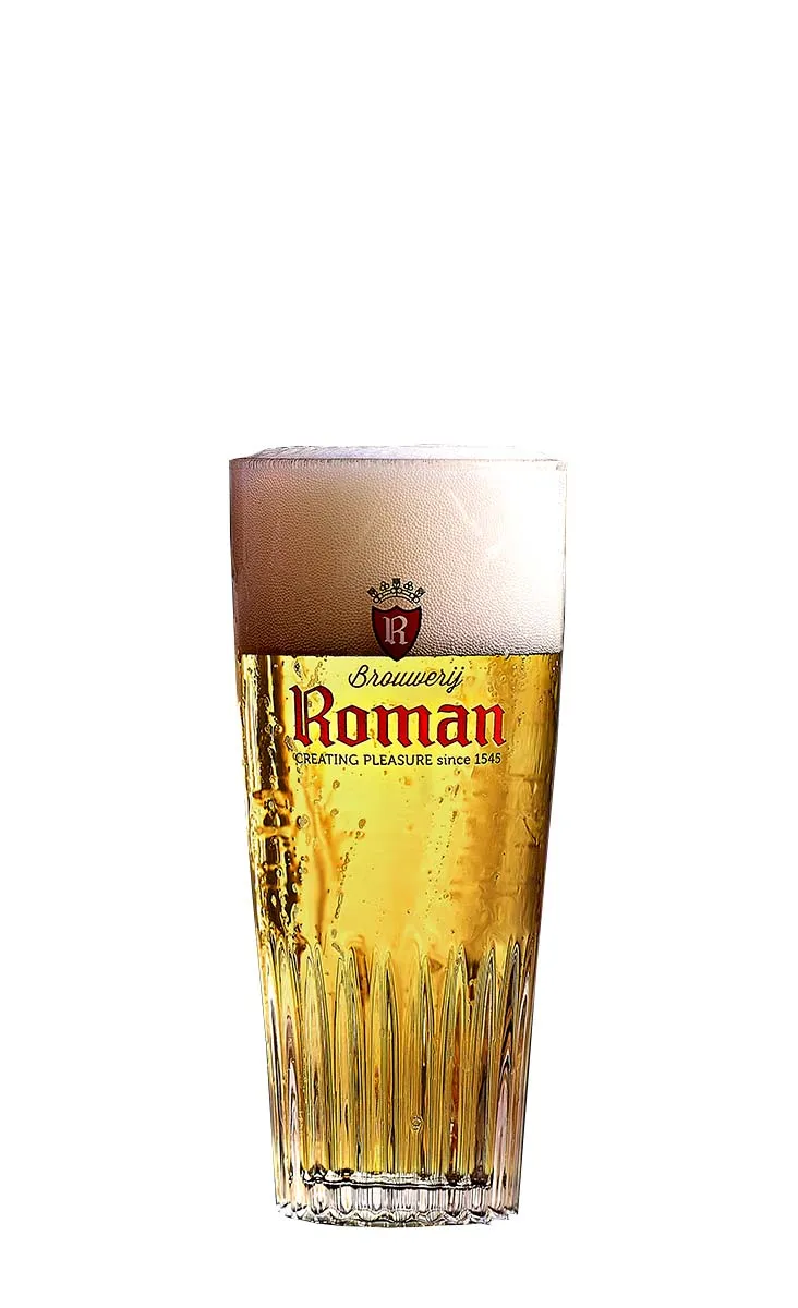 Roman Pils ribbel bierglas 25cl 6 stuks