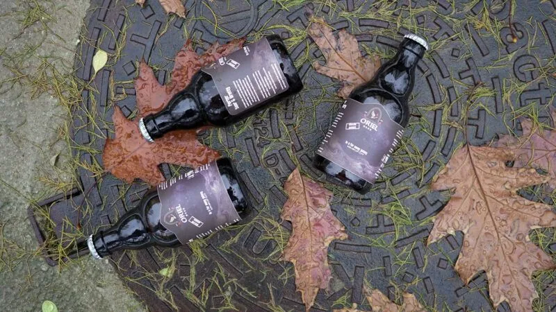 Oriel In A Far Away Galaxy porter 12-pack zuur