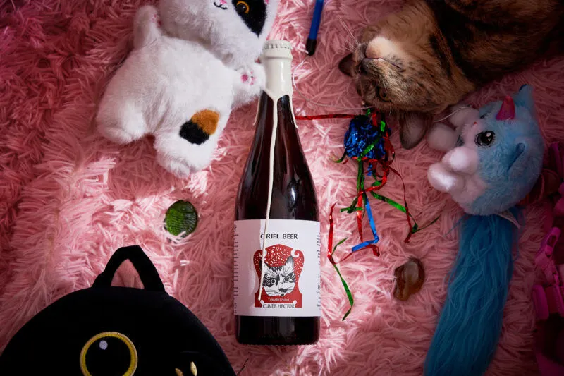 Oriel Cuvée Hector wild ale 750 ml
