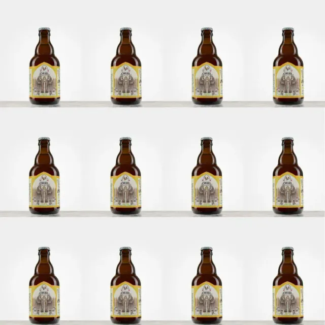 Oriel Saison Nimbu Pani bier 12-pack citroen-munt