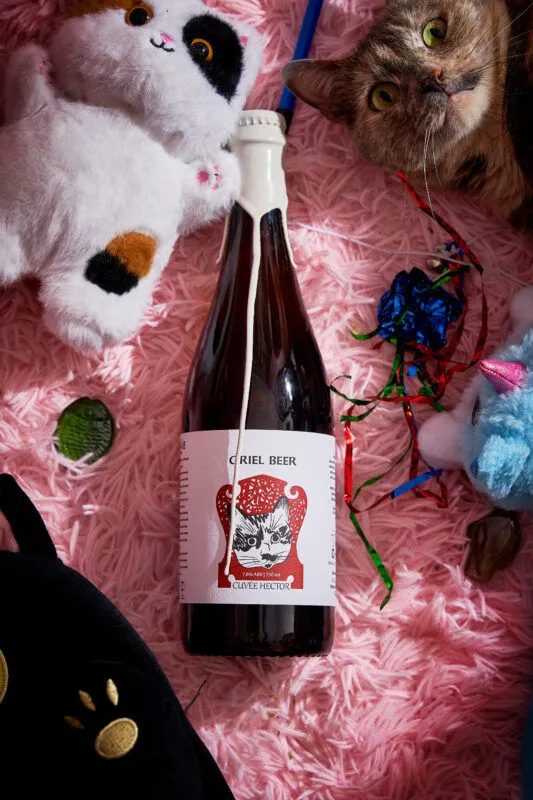 Oriel Cuvée Hector wild ale 750 ml